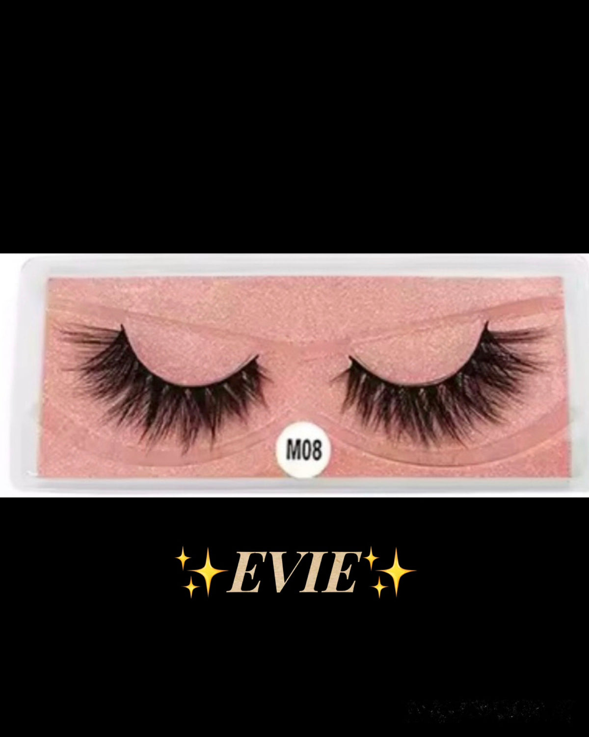 ✨EVIE✨